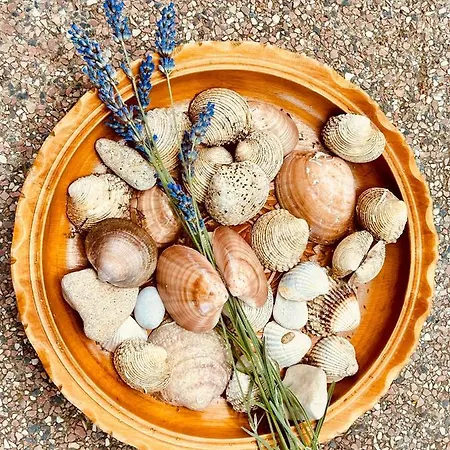 Roseal Appartement *