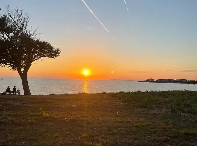 Roseal * Повляна