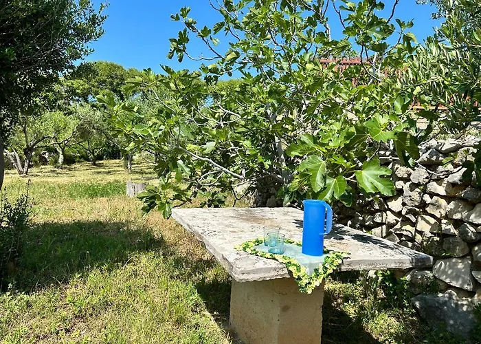 Roseal Povljana